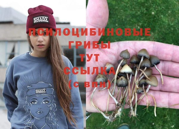 кокаин премиум Абаза