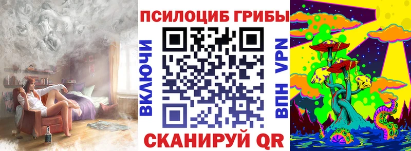 купить наркотики цена  Емва  Галлюциногенные грибы Psilocybe 